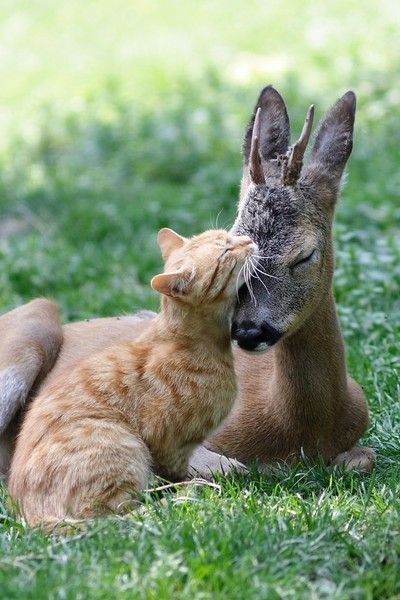 http://lyonnaise69.l.y.pic.centerblog.net/0718717b0314e5a9623dfb9a4658a5b3.jpg