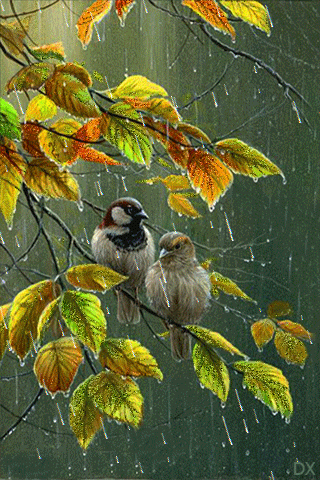 http://lyonnaise69.l.y.pic.centerblog.net/28d80a6c5c8f43e307b69f8c04b2cbda.gif