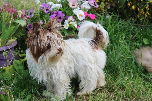 http://lyonnaise69.l.y.pic.centerblog.net/496593.jpg