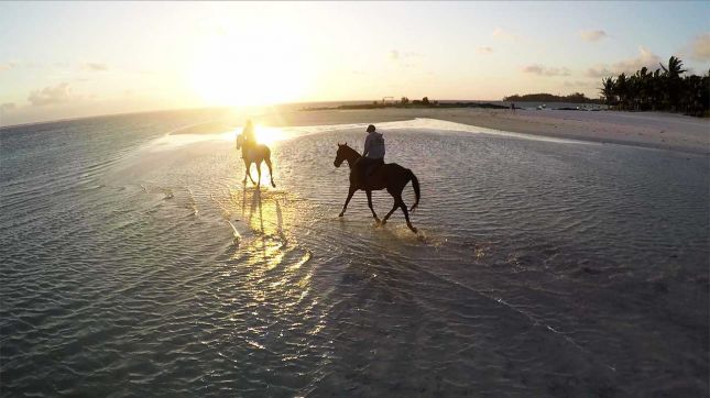 http://lyonnaise69.l.y.pic.centerblog.net/Luxury-Hotels-Mauritius-LUX-Belle-Mare-Beach-Sunset.jpg