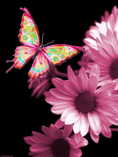 http://lyonnaise69.l.y.pic.centerblog.net/a112d0e1295c974ae7b6d93b6fb1bb8a.gif