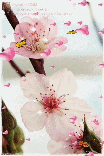 http://lyonnaise69.l.y.pic.centerblog.net/a1c5e3fe6a7089bc2526cd07c54fe253.gif