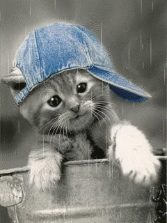 http://lyonnaise69.l.y.pic.centerblog.net/a806c044ff9ff0cade0c2a3bb48eca3e.gif