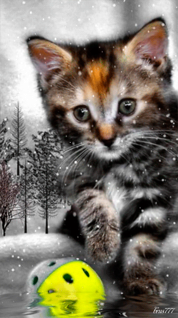 http://lyonnaise69.l.y.pic.centerblog.net/cc9b4b459ca6ea40e8acd62a4227928e.gif