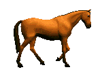 cheval_097.gif