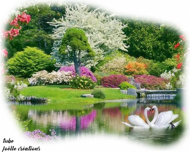 http://lyonnaise69.l.y.pic.centerblog.net/jsjcvfondtranspay260320190002.png