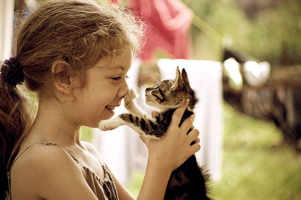 http://lyonnaise69.l.y.pic.centerblog.net/kids-with-cats-37__606.jpg