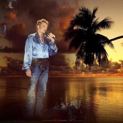 Johnny Hallyday Page