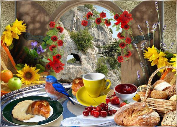 Afficher l�image source